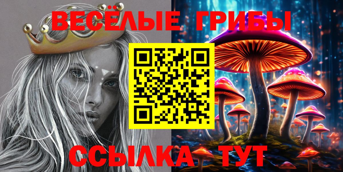 Галлюциногенные грибы Psilocybe  Вход с VPN  Красноармейск 